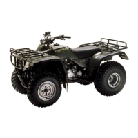 Preview: Honda 1999 TRX300 FourTrax 300