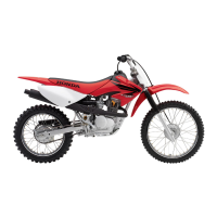 Preview: Honda 2007 CRF100F