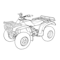 Preview: Honda 1994 TRX300FW
