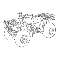 Preview: Honda 1989 TRX300