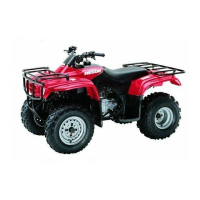 Preview: 2004 TRX250TE FourTrax Recon ES