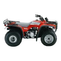 Preview: Honda 1991 TRX300 Fourtrax