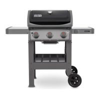 Preview: Weber Spirit S-210