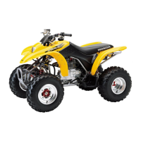 Preview: 2001 TRX250EX Sportrax 250EX
