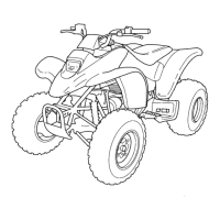 Preview: Honda 2002 TRX250EX Sportrax