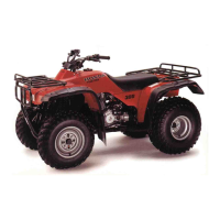 Preview: Honda 2000 TRX300 Fourtrax 300