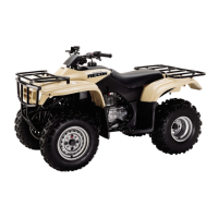 Preview: Honda 2001 TRX250TM