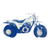 Preview: Honda ATC200S