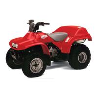 Preview: Honda 1990 TRX200 Fourtrax200