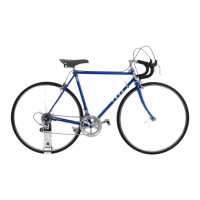 Preview: Trek 300