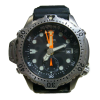 Preview: Citizen 5810