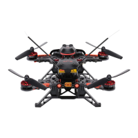 Preview: Walkera Runner 250