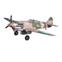 Preview: FMS P-40B flying tiger