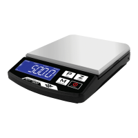 Preview: MyWeigh iBalance 500