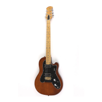 Preview: Ovation Viper