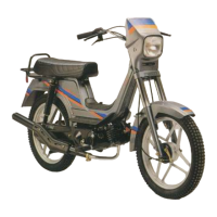 Preview: Derbi Variant Sport