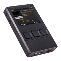Preview: iBasso DX50