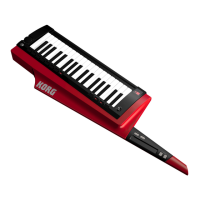 Preview: Korg RK-100