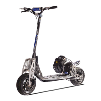 Preview: Evo 2x Big 50cc