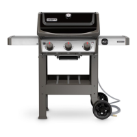 Preview: Weber Spirit E-210 NG