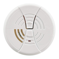 Preview: BRK electronic FG250RV