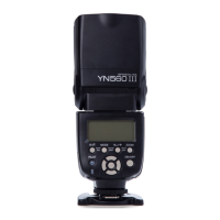 Preview: Yongnuo YN560