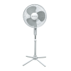 Fan Logo