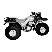 Preview: Honda ATC 250ES 1987