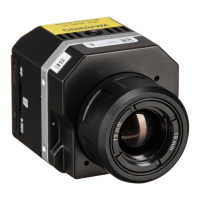 Preview: FLIR Vue
