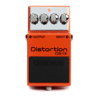 Preview: Boss DS-1X