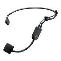 Preview: Shure PGA31