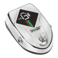 Preview: Snark SN-10