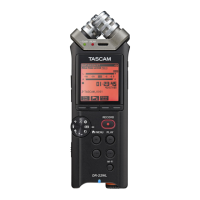 Preview: Tascam DR-22WL