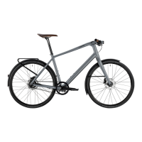Preview: Canyon Urban