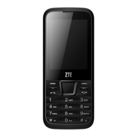 Preview: Zte F320