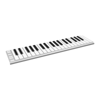 Preview: CME Xkey37