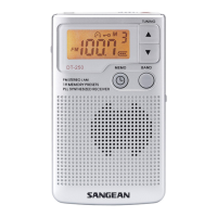 Preview: Sangean DT-250