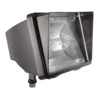 Preview: RAB Lighting future flood