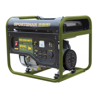 Preview: Sportsman GEN4000DF