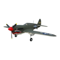 Preview: FMS P-40