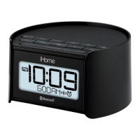 Preview: iHome iBT230