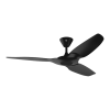 Fan Logo
