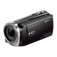 Preview: Sony HDR-CX450