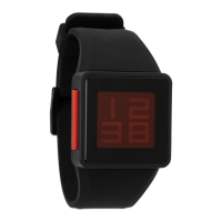 Preview: NIXON newton