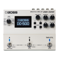Preview: Boss DD-500