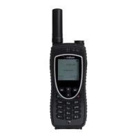 Preview: Iridium 9575