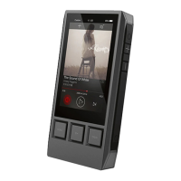 Preview: iBasso DX80