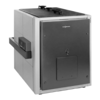 Preview: Viessmann VITOPLEX 200