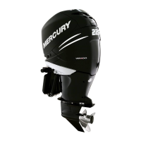 Preview: Mercury 200 VERADO