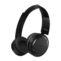 Preview: Panasonic RP-BTD5